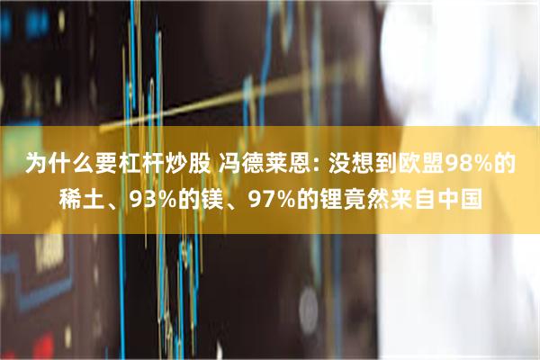 为什么要杠杆炒股 冯德莱恩: 没想到欧盟98%的稀土、93%的镁、97%的锂竟然来自中国