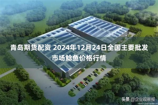 青岛期货配资 2024年12月24日全国主要批发市场鲶鱼价格行情