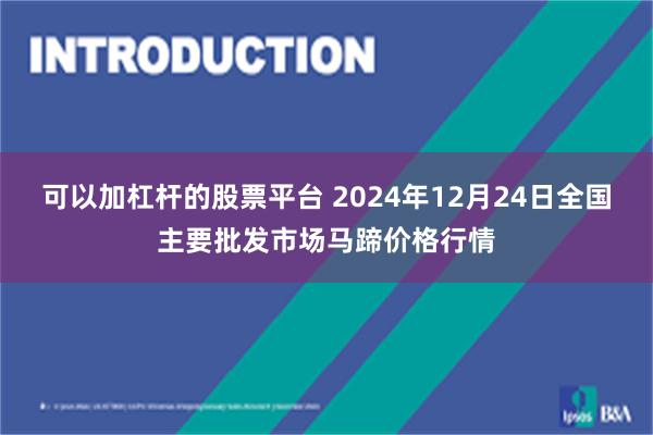 可以加杠杆的股票平台 2024年12月24日全国主要批发市场马蹄价格行情