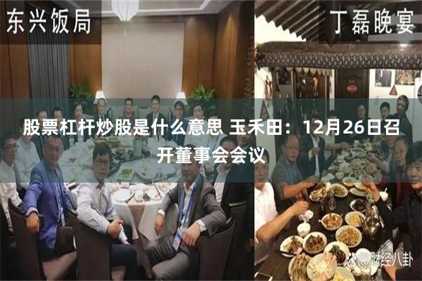 股票杠杆炒股是什么意思 玉禾田：12月26日召开董事会会议