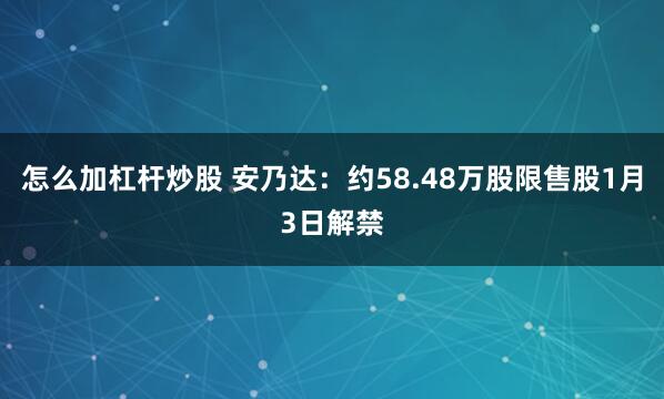 怎么加杠杆炒股 安乃达：约58.48万股限售股1月3日解禁