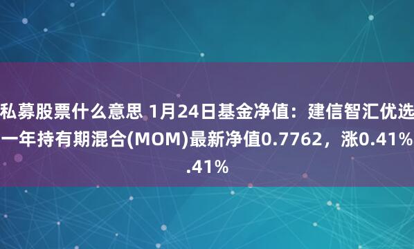 私募股票什么意思 1月24日基金净值：建信智汇优选一年持有期混合(MOM)最新净值0.7762，涨0.41%